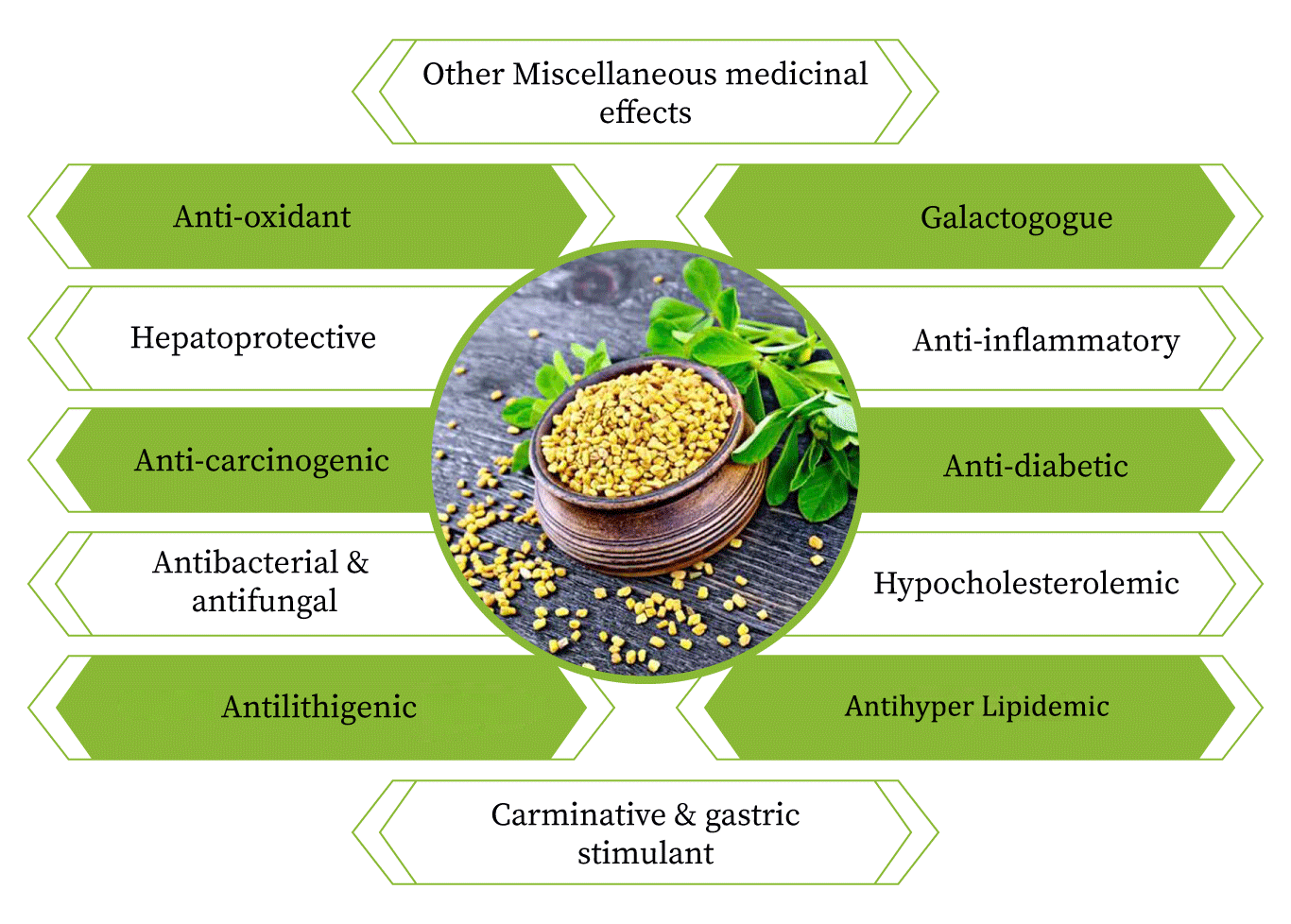 Fenugreek BioTexas Industries